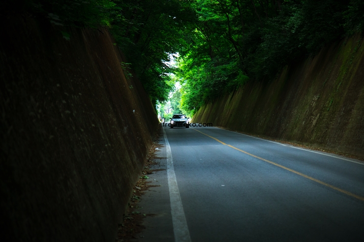 단양 가볼만한곳