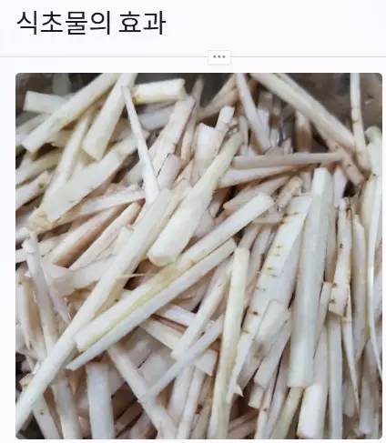 식초물 효과