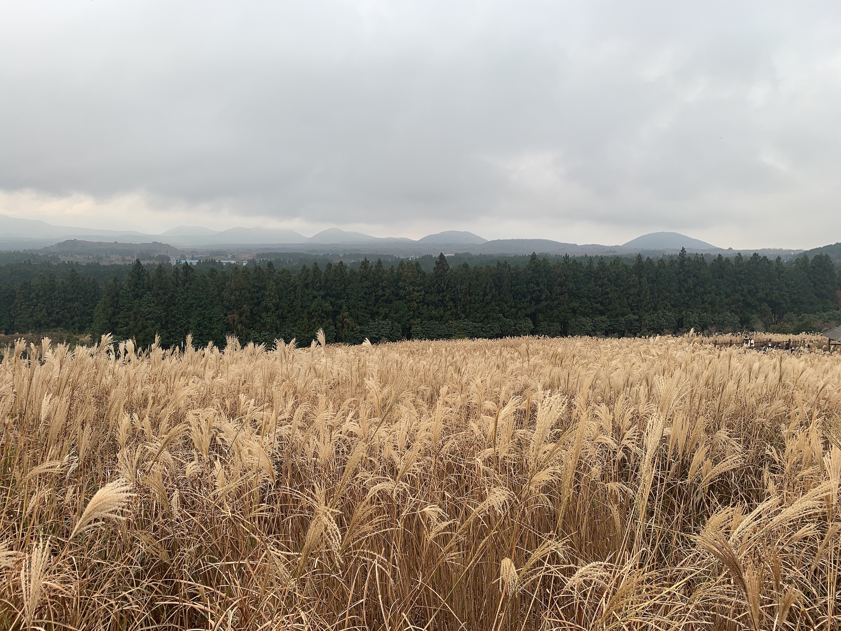 제주도 신혼여행 준비물