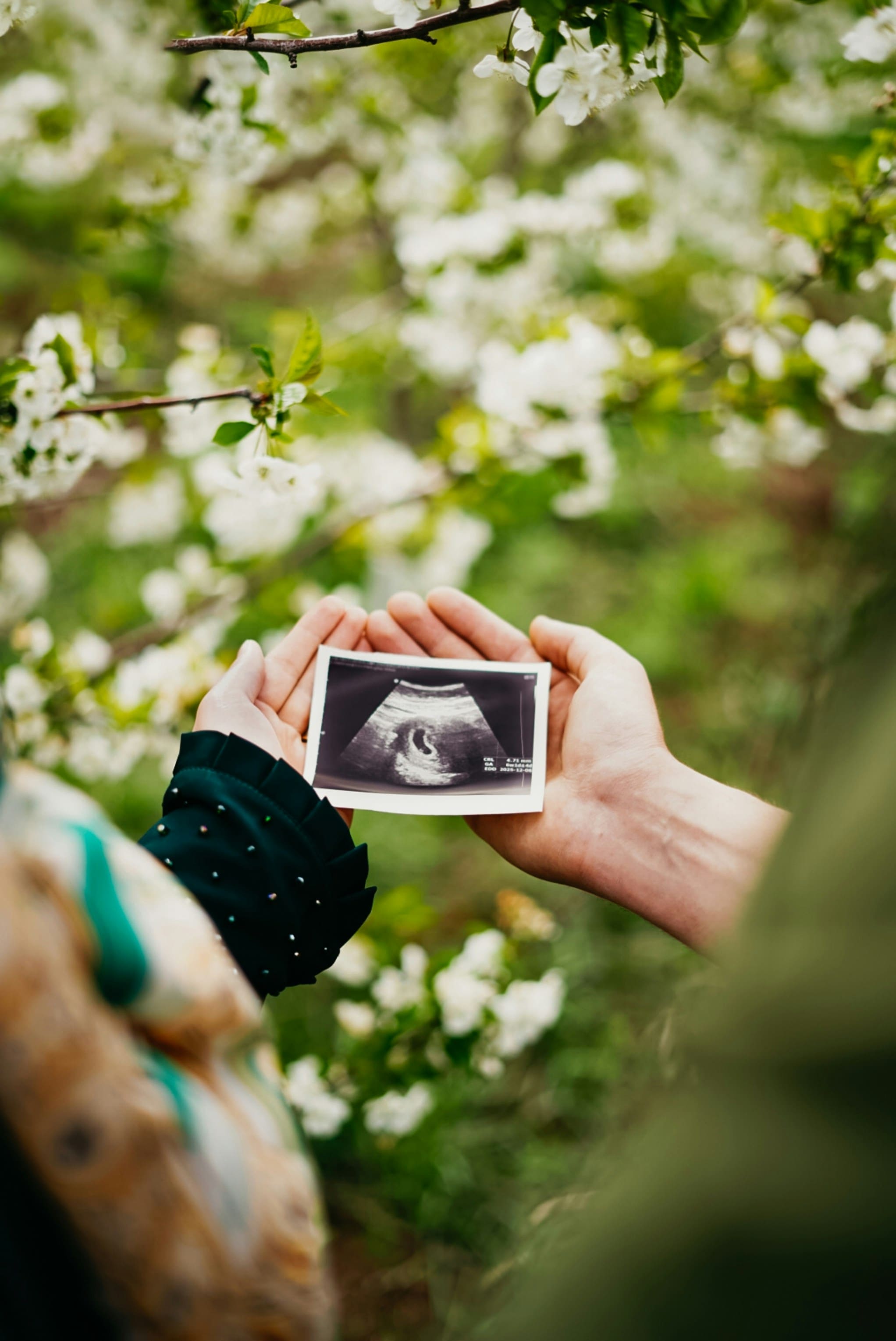 계류유산이란? 원인부터 회복까지