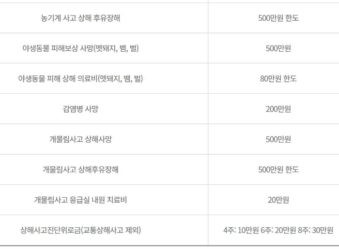 보장내용과 보장금액