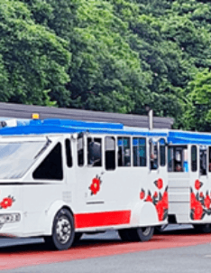 오동도_동백열차_타는곳