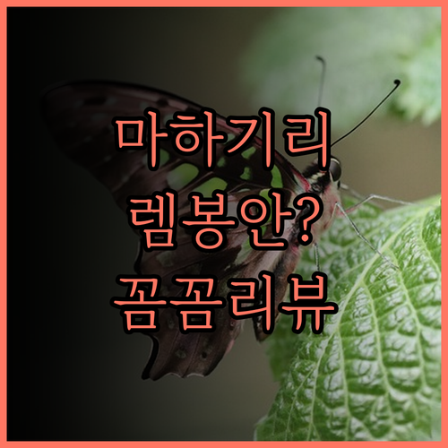 마하기리 리조트 누사 렘봉안 후기 렘