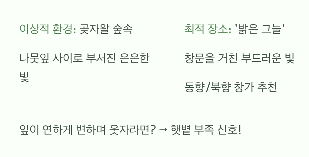 햇볕은 부드럽게&amp;#44; 직사광선은 피하기