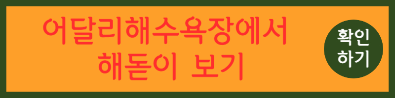 동해시 해돋이 명소