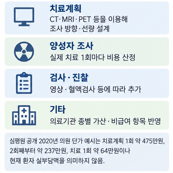 양성자치료 비용이 치료계획 실제 조사 검사 진찰 기타 비용으로 구성되는 과정을 정리한 이미지