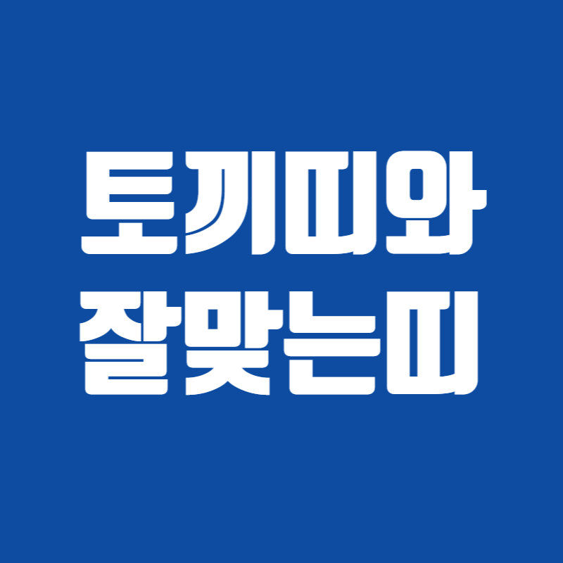 토끼띠와잘맞는띠