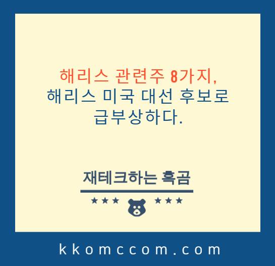 해리스 관련주 포스팅 썸네일