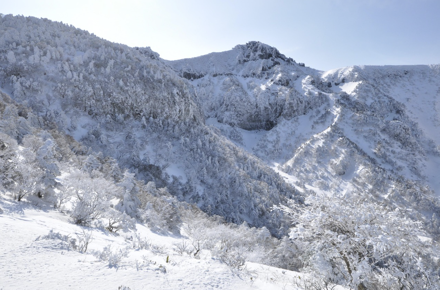 바닷속에도 눈이 온다고?
