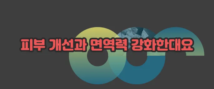 쑥 효능 자세히 알아볼게요