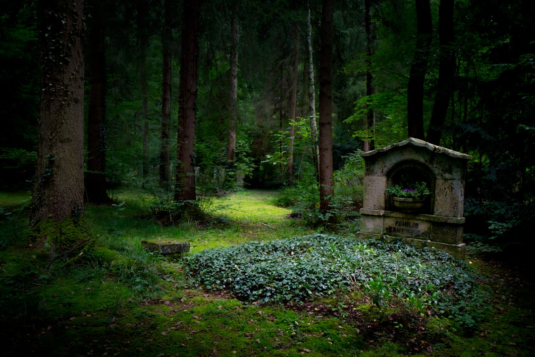 Fairy Tale.
