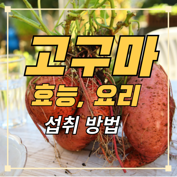 고구마-효능-요리-섭취-레시피