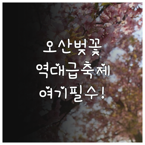 오산 벚꽃 명소 추천 및 오산천 축제..