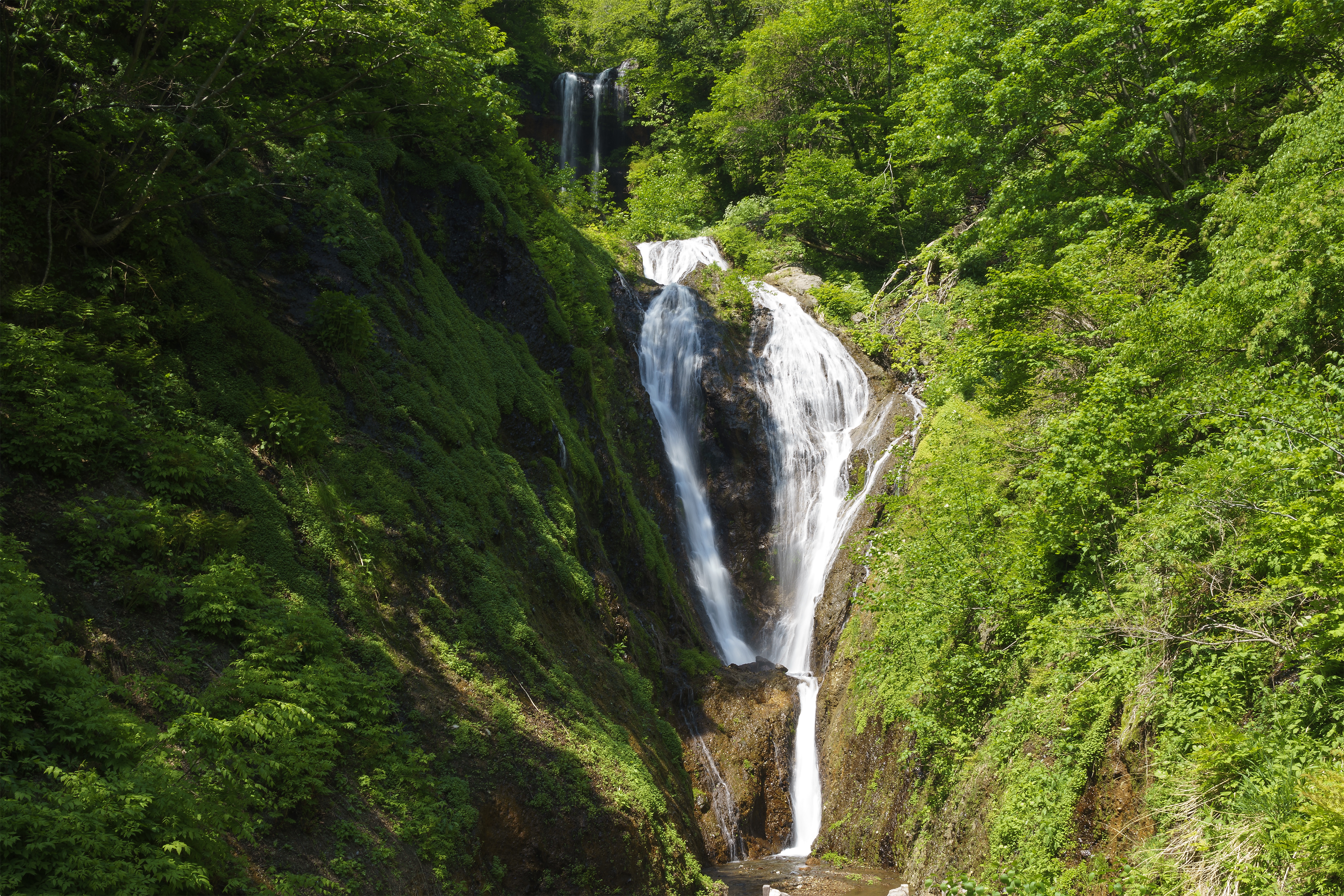 울릉도 꼭 가볼 만한 곳 3가지