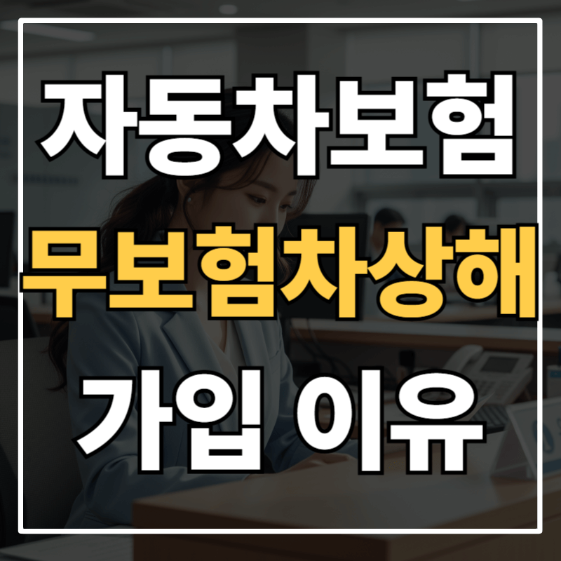 자동차보험 무보험차상해 꼭 가입해야 하는 이유 (실제 사고 사례로 보는 중요성)