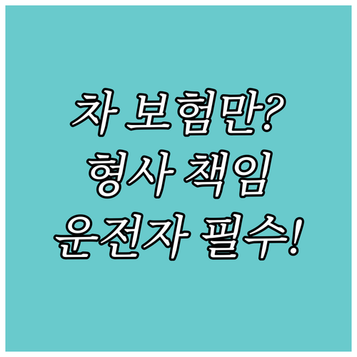 자동차 보험만으로 부족한 형사적 책임..