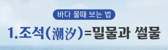 조석 물때 바다 낚시 바람 파고 배 출항 점검_17