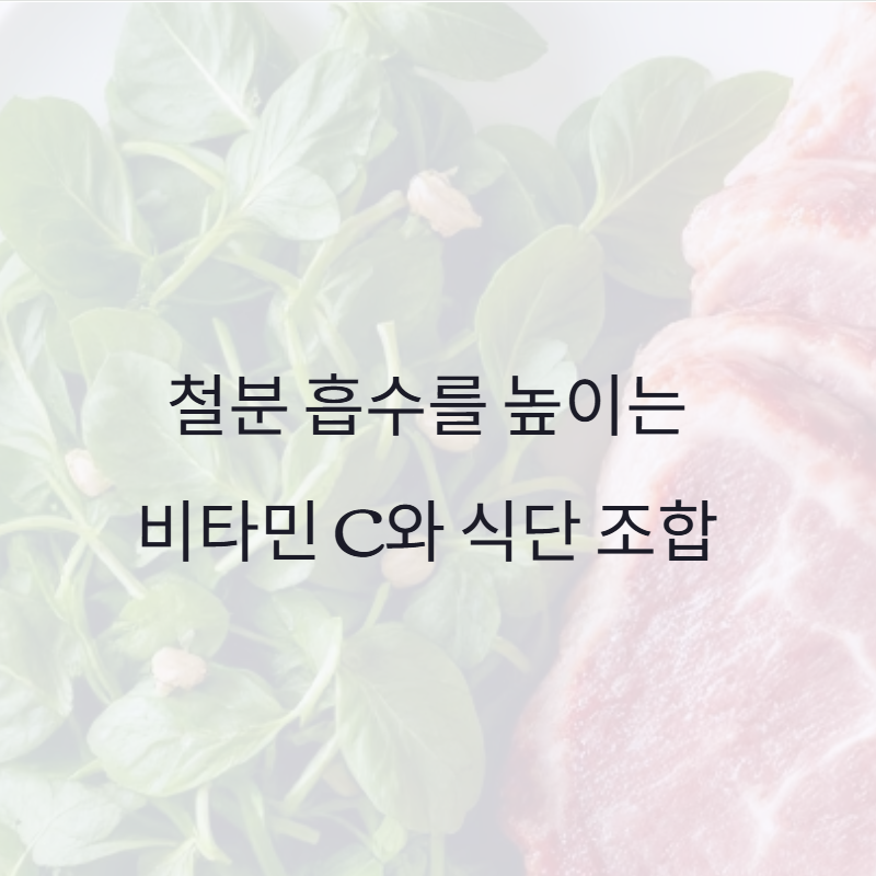 철분 흡수를 높이는 비타민 C와 식단 조합: 건강한 삶을 위한 필수 가이드