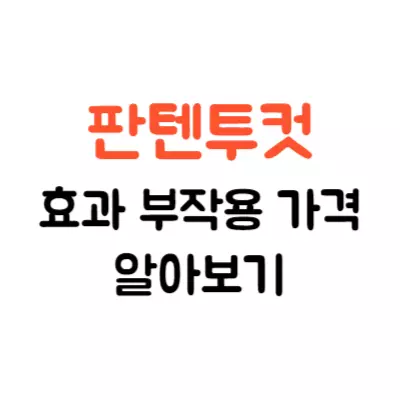 판텐투컷 내돈내산 후기 효과 부작용 가격 알아보기
