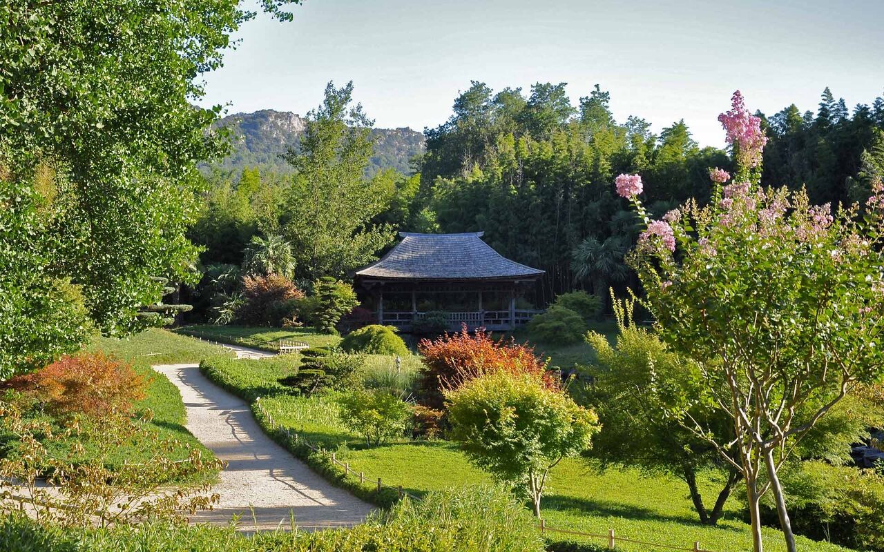 프라프랑스 대나무숲