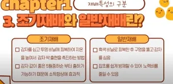 감자 재배 달력 파종 북주기 역병 관리 수확 및 저장_20