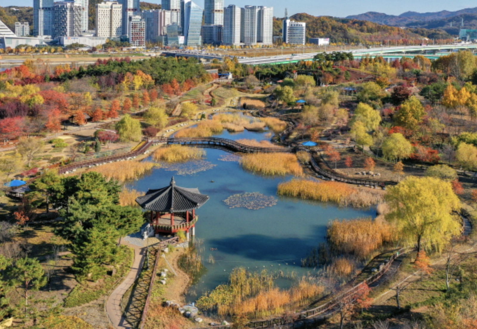 대전 여행 관련 사진