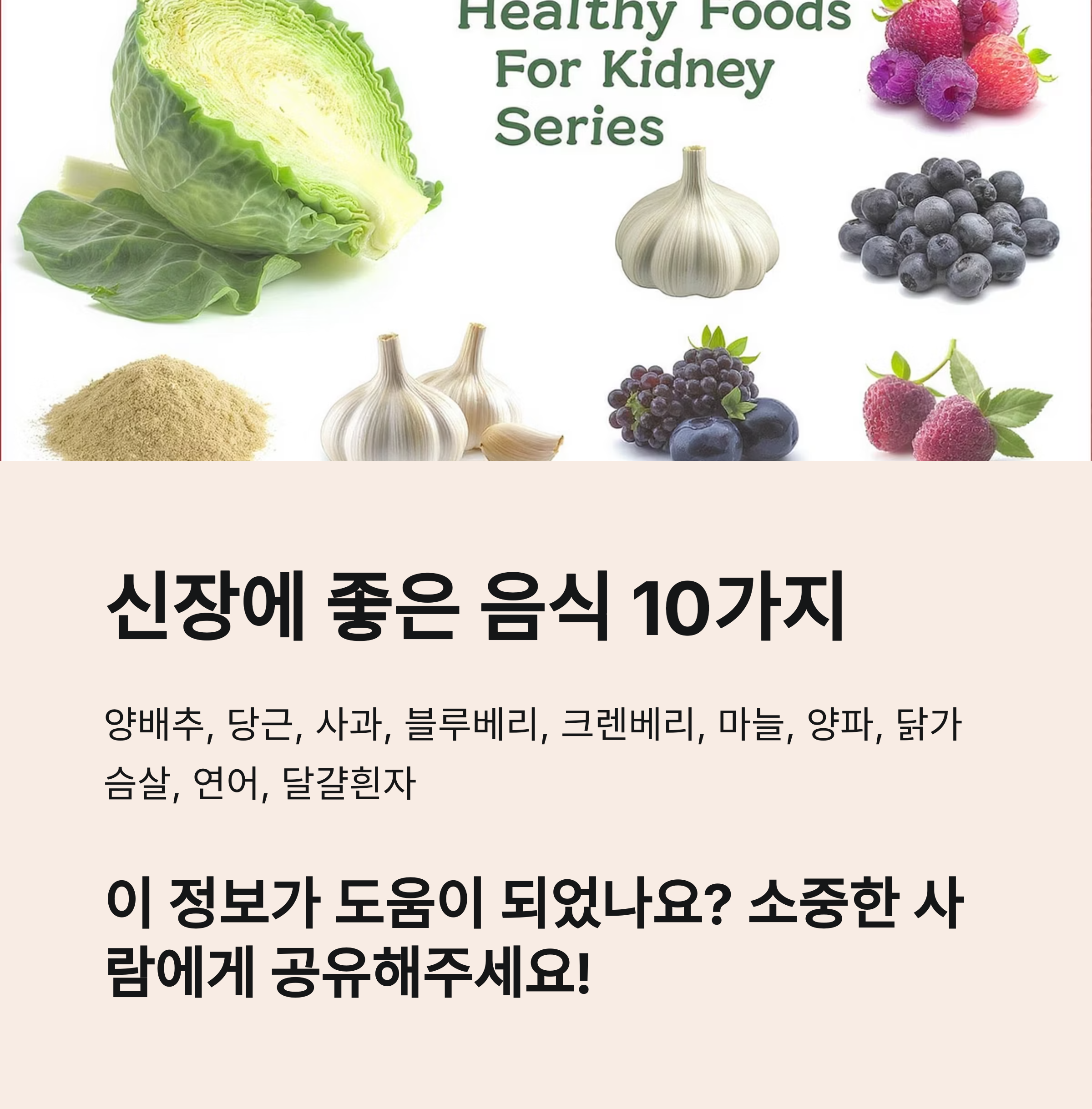 양배추, 블루베리, 마늘 등 신장 건강에 좋은 10가지 음식 사진과 함께 소개된 인포그래픽 이미지