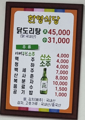 대전 닭도리탕맛집 한영식당