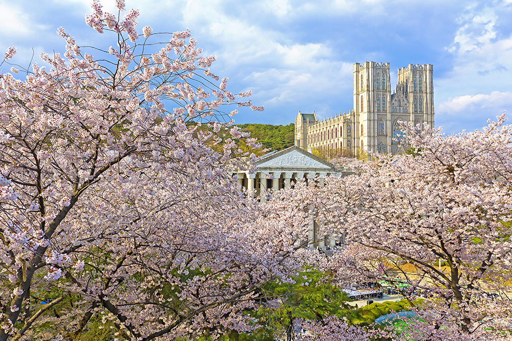 2024 서울 벚꽃 명소 BEST 10