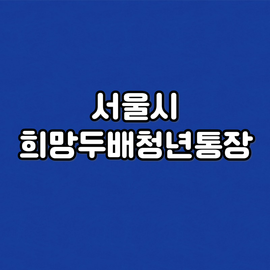 서울시 희망두배청년통장