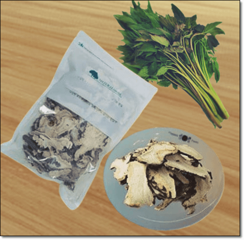 당귀잎과 당귀 뿌리