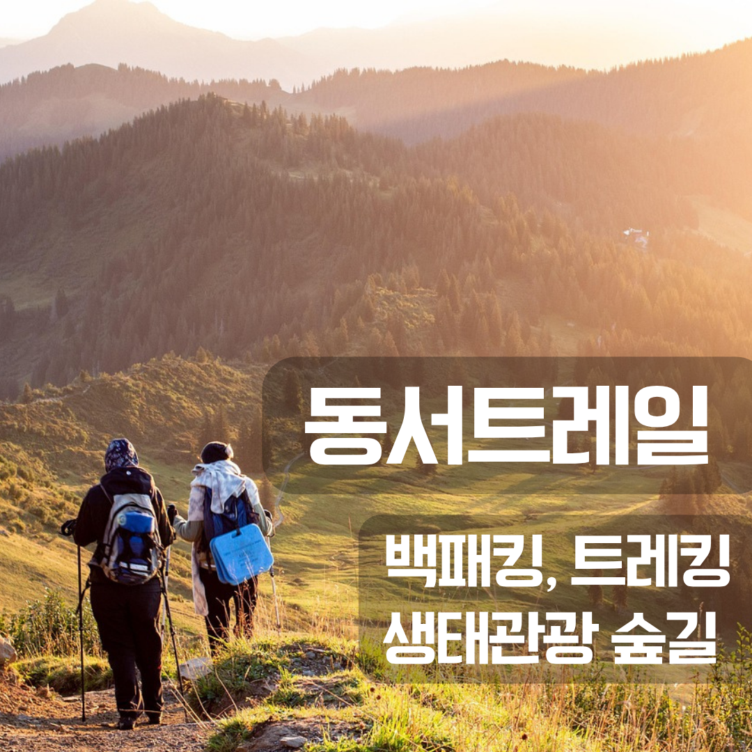 동서트레일 백패킹, 트레킹, 생태관광 가능한 한국형 트레일 루트