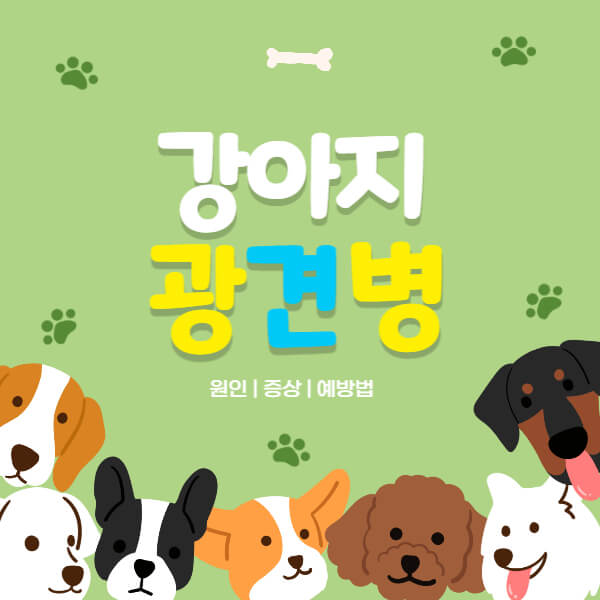 강아지_광견병
