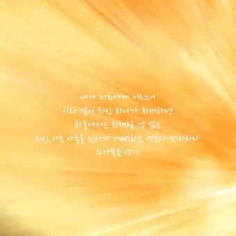 매일성경묵상과 사명(누가복음 10장 1-24절) 칠십 인의 제자를 파송하신 예수님_24