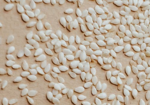 식물성 에스트로겐이 많은 음식 참깨