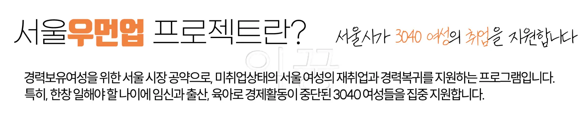 서울우먼업 프로젝트 설명 사진