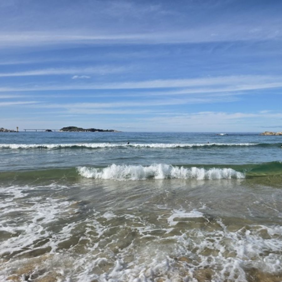 송지호해변