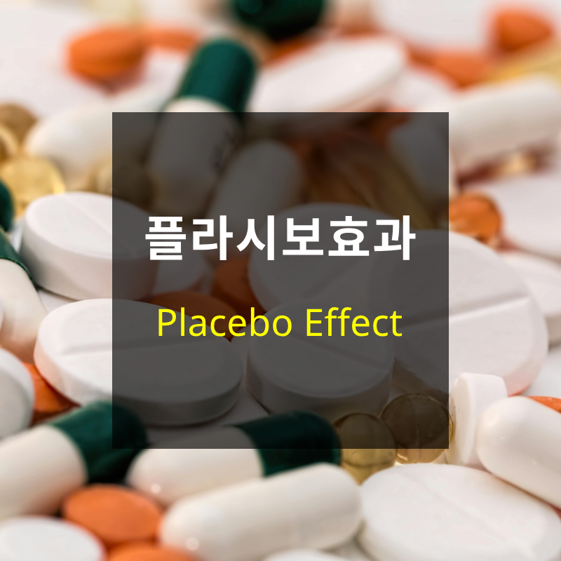 플라시보효과
