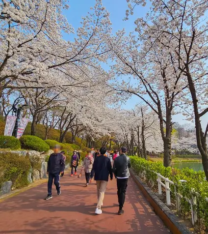 석촌호수에서-산책하는모습