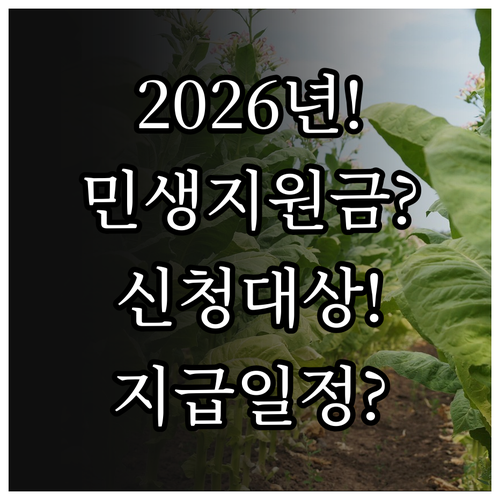 2026년 민생지원금 지급 일정 및 ..