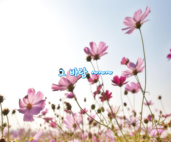http://www.smartchoice.or.kr/smc/mobile/monthlyPayment.do