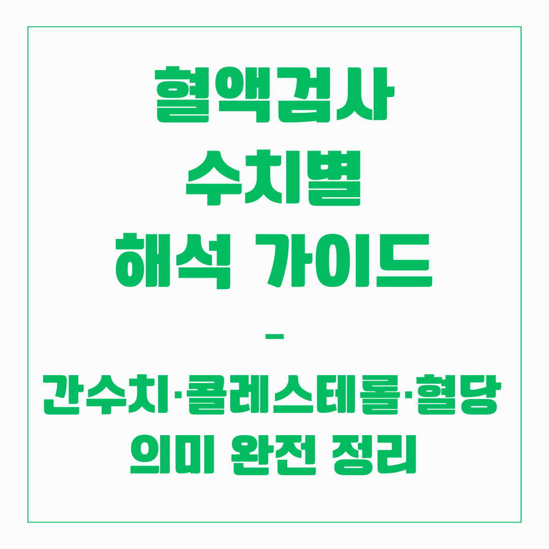 혈액검사 수치별 해석 가이드