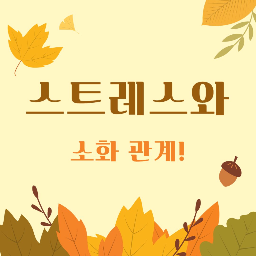 스트레스와-소화