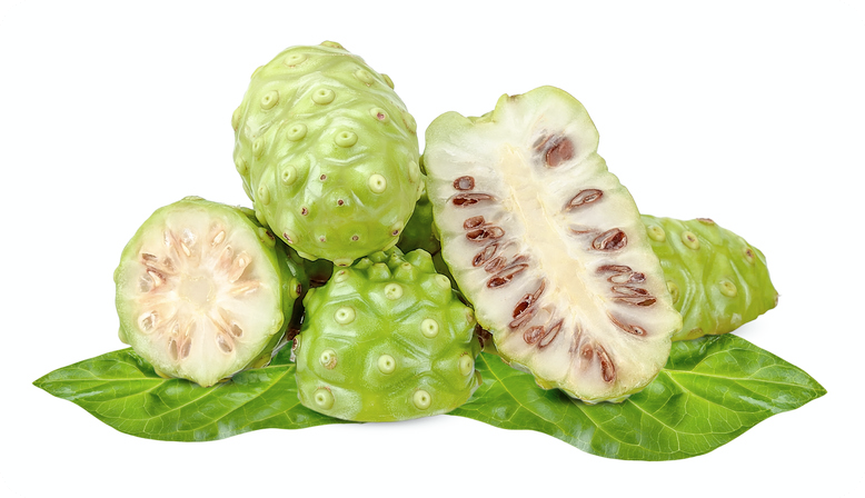 노니 -효능-부작용