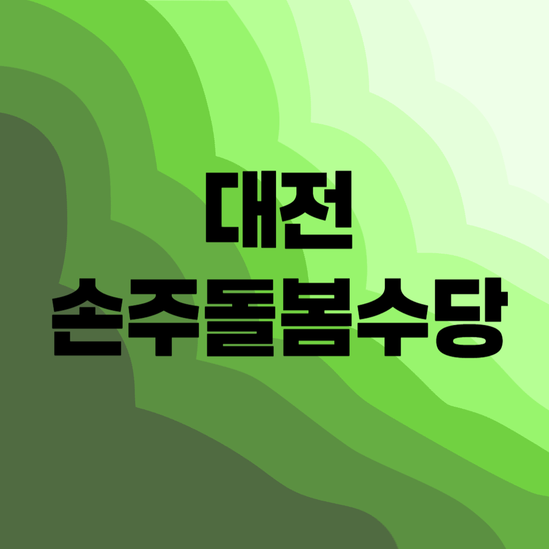 대전 손주돌봄수당