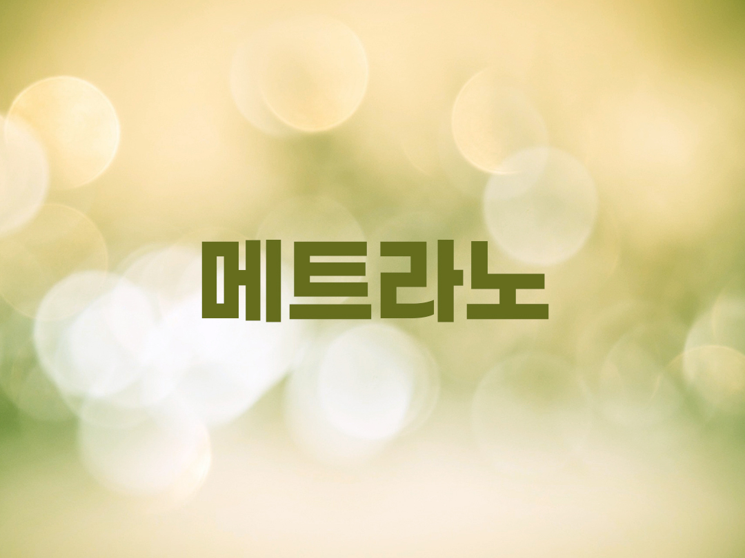 메트라노 천주교 남자세례명