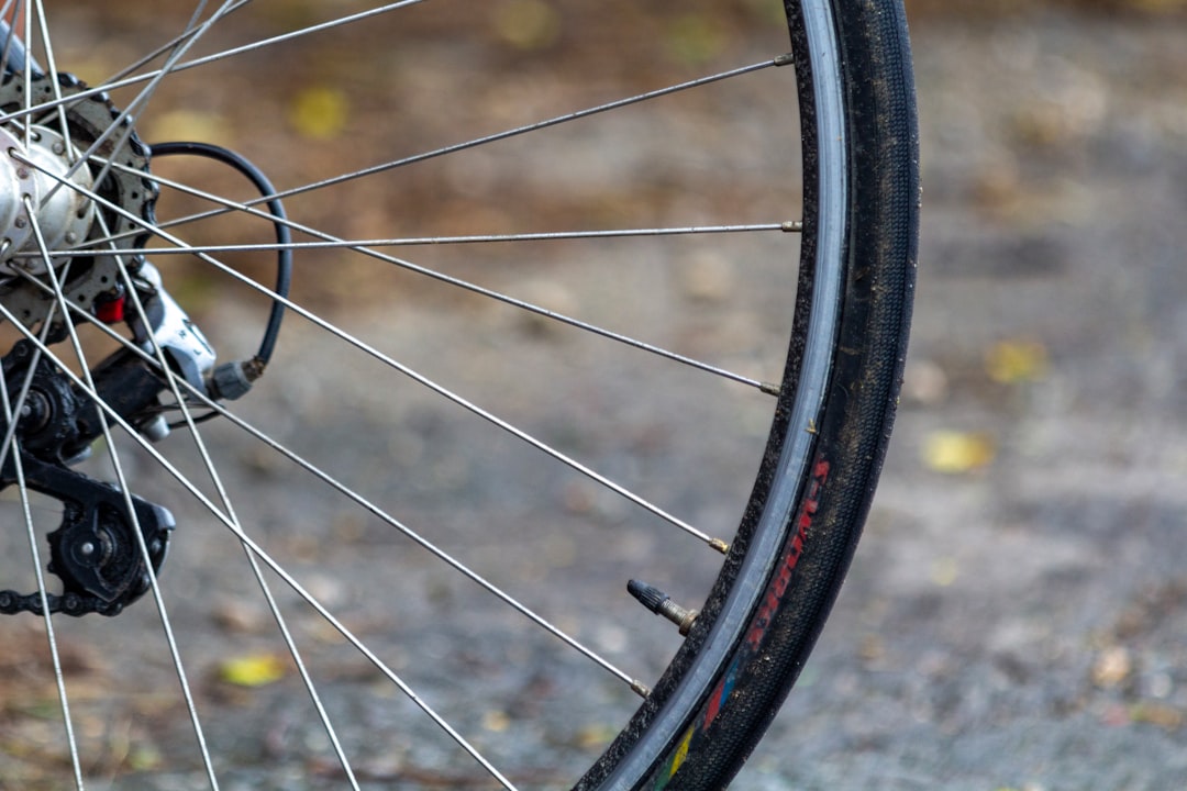 Specialized