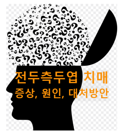 치매 알아야 합니다 전두측두엽 치매 증상 원인 대처 방법