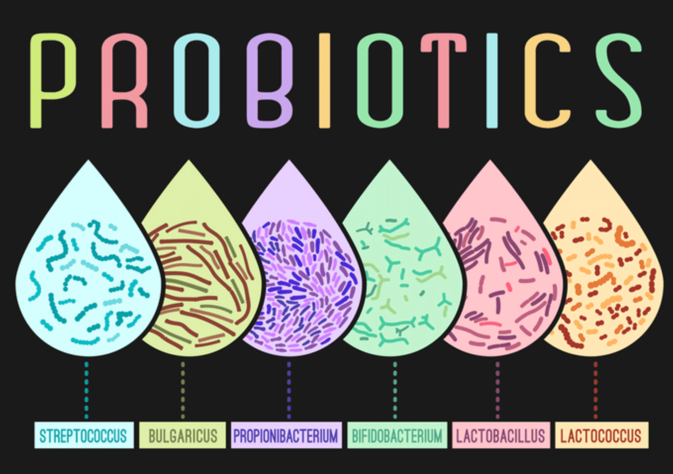 프로바이오틱스