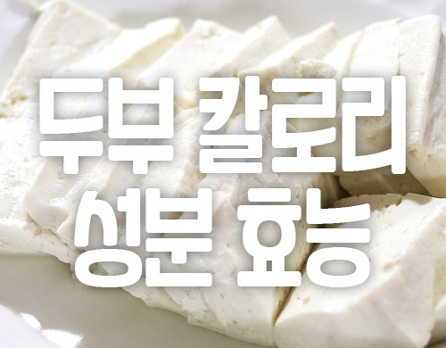 두부 한 모 칼로리 효능